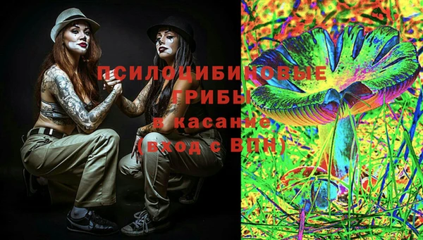 прущие грибы Алексин